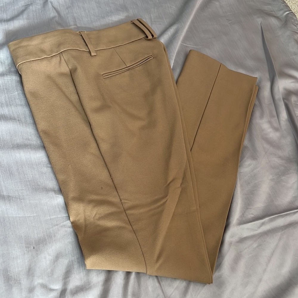 Ann Taylor Camel Pleated Slacks Brown Straight Leg Pants